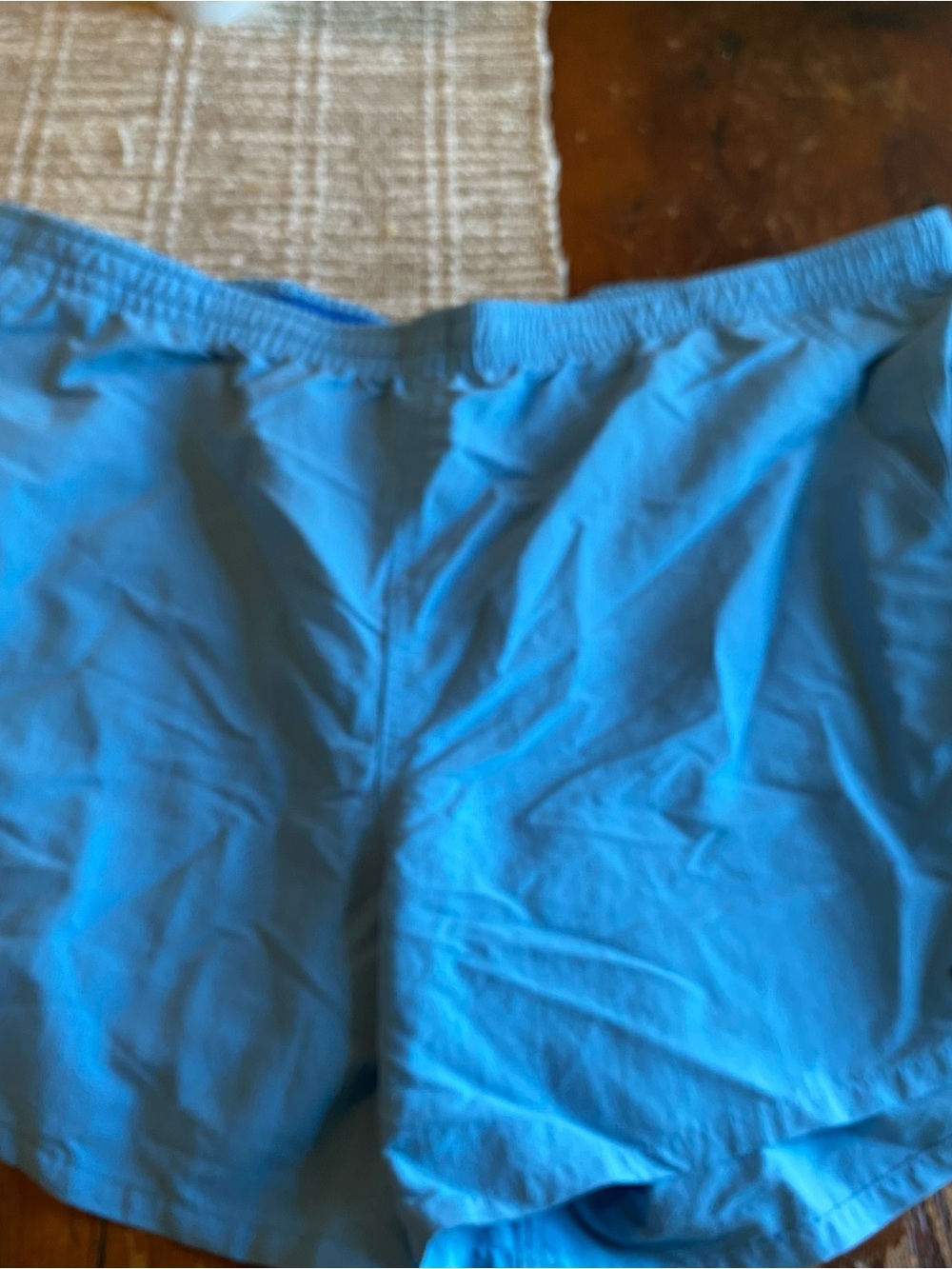 Patagonia Men's Light Blue Swim Trunks
